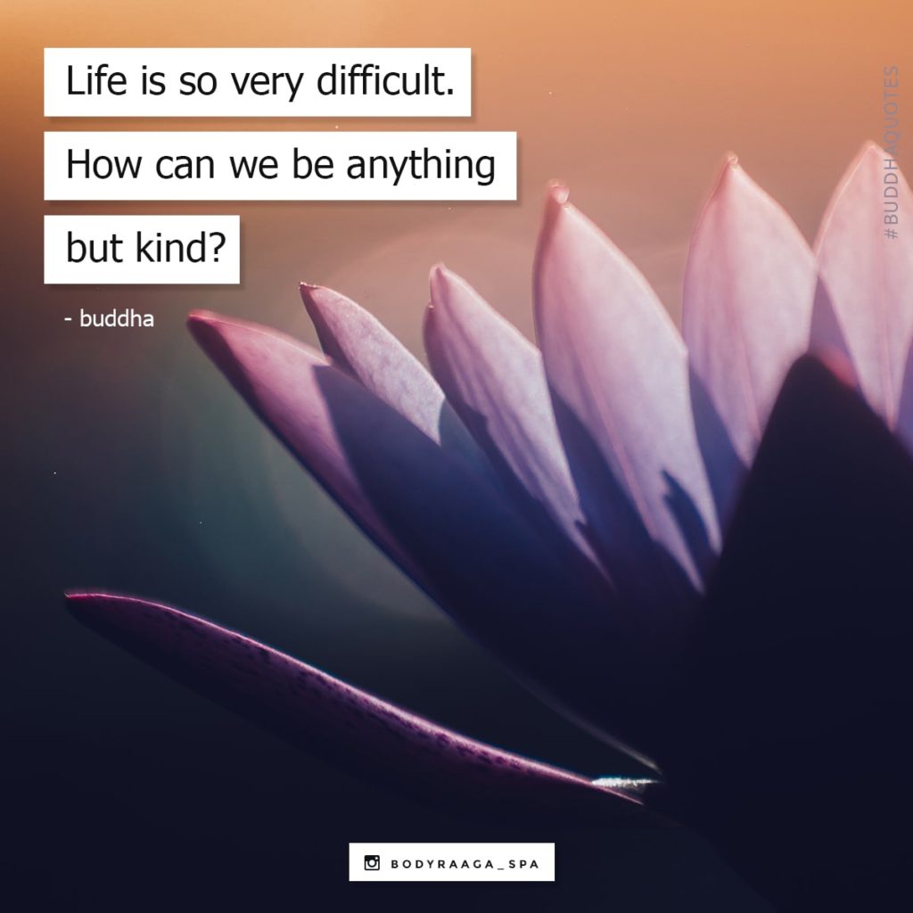 Life is so very difficult. How can we be anything but kind? -Buddha