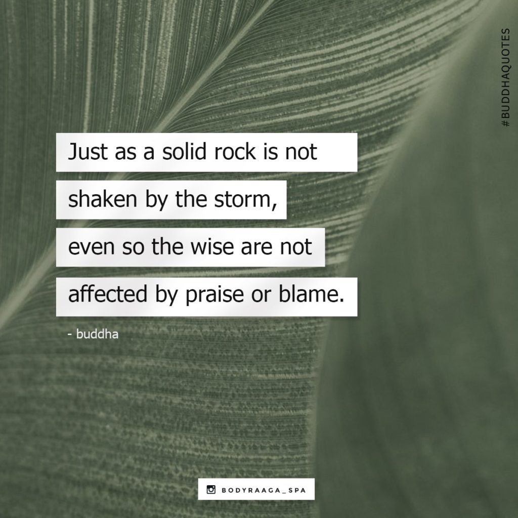 Just as a solid rock is not shaken by the storm, even so the wise are not affected by praise or blame. - Buddha